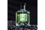 Туалетная вода мужская с феромонами Formula Sexy Unlimited, 100 мл (по мотивам Семейство шипровых ароматов)