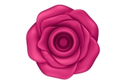Satisfyer Pro 2 Classic Blossom - Вакуумно-волновой стимулятор с насадкой "жидкий воздух", 7 см (розовый)